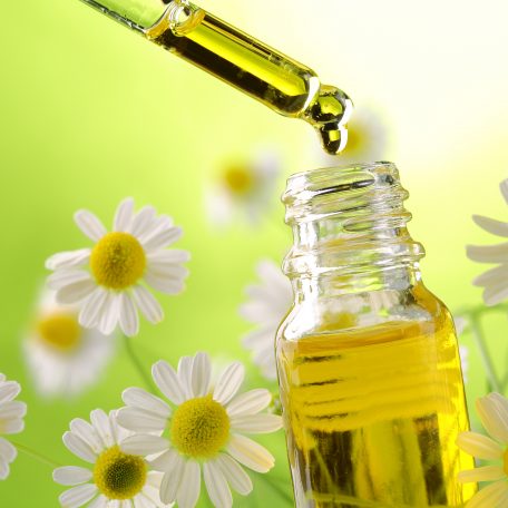 Stock image of essential oils with daisies
